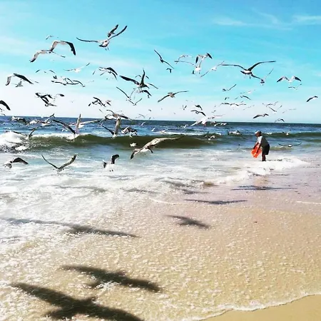 Praia Da à Vista Torreira